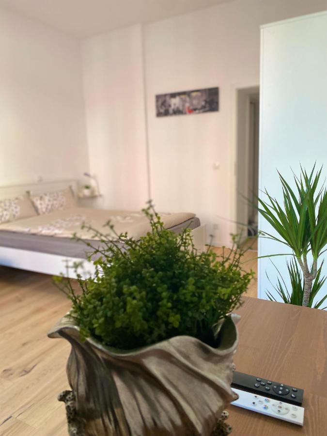 Pnt Home-Stilvolles Apartment Koblenz (Rhineland-Palatinate) Exterior foto